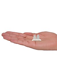 Silver Lord Ganapathy, Lakshmi Idol