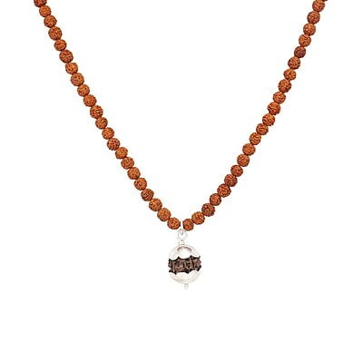 Rudraksha Mala/Chain with Rudraksha Pendent/Dollar