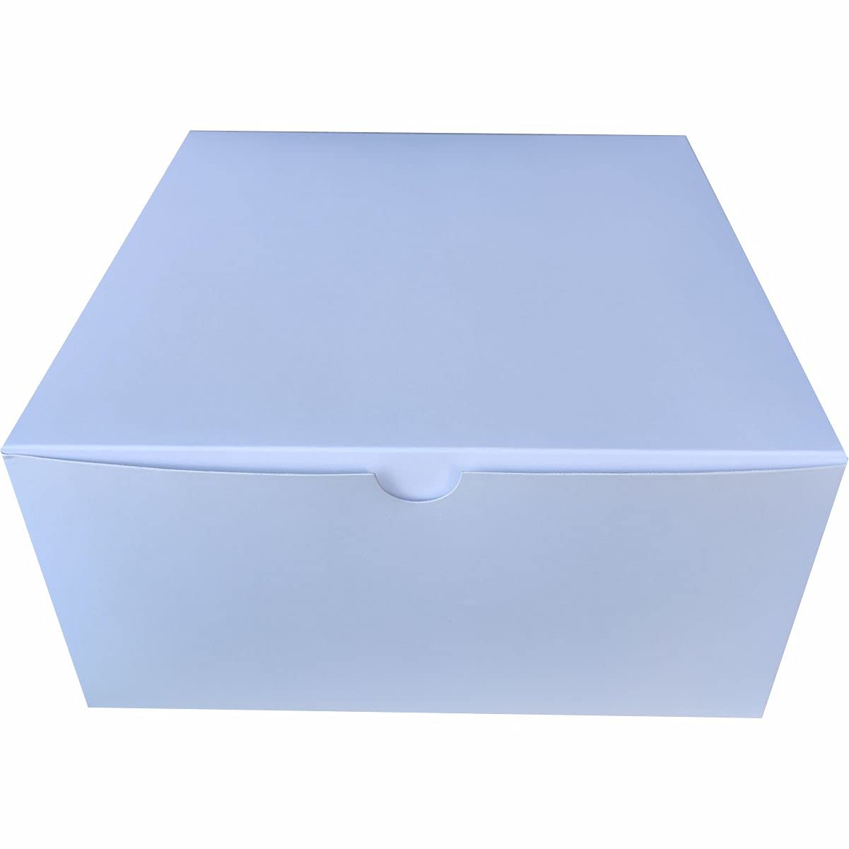 Plain White Cake Box