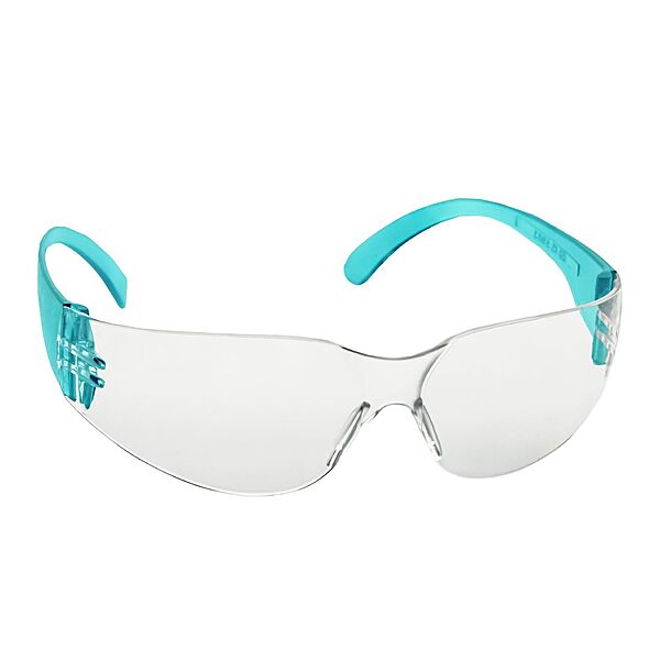 VENUS E102 CLEAR Goggles CHC 110128601