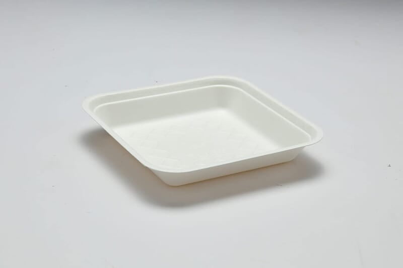 Disposable Square Plate Disposable Square Plate