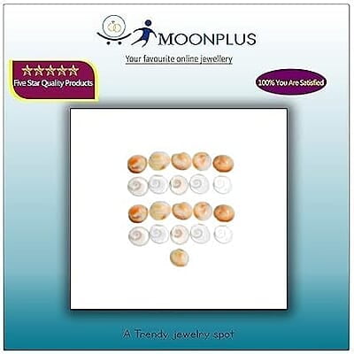 Natural Real Gomti Chakra 11 Pcs Natural Real Gomti Chakra 11 Pcs