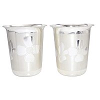 Sterling Silver Tumbler/Glass for Home