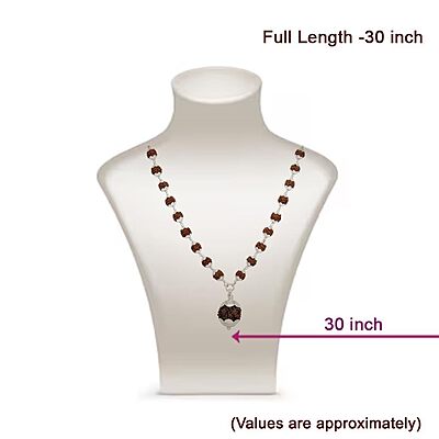 Silver tied Rudraksha Mala With Ruthratcham Pendant|With Certificate