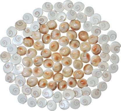 Gomati Chakra For Pooja and Vastu 108