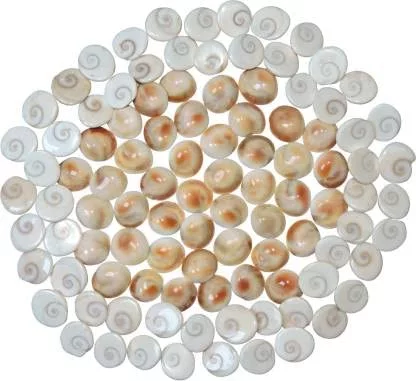 Gomati Chakra For Pooja and Vastu 108