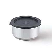 Borosil - Carry Fresh Stainless Steel Insulated Lunch Box Set of 2, 280ml, Grey