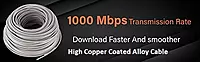 Live Tech 100M Cat 6 Network Cable – High-Speed LAN Connectivity for Home & Office