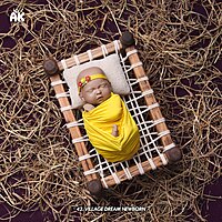 Studio Package (50 Themes)