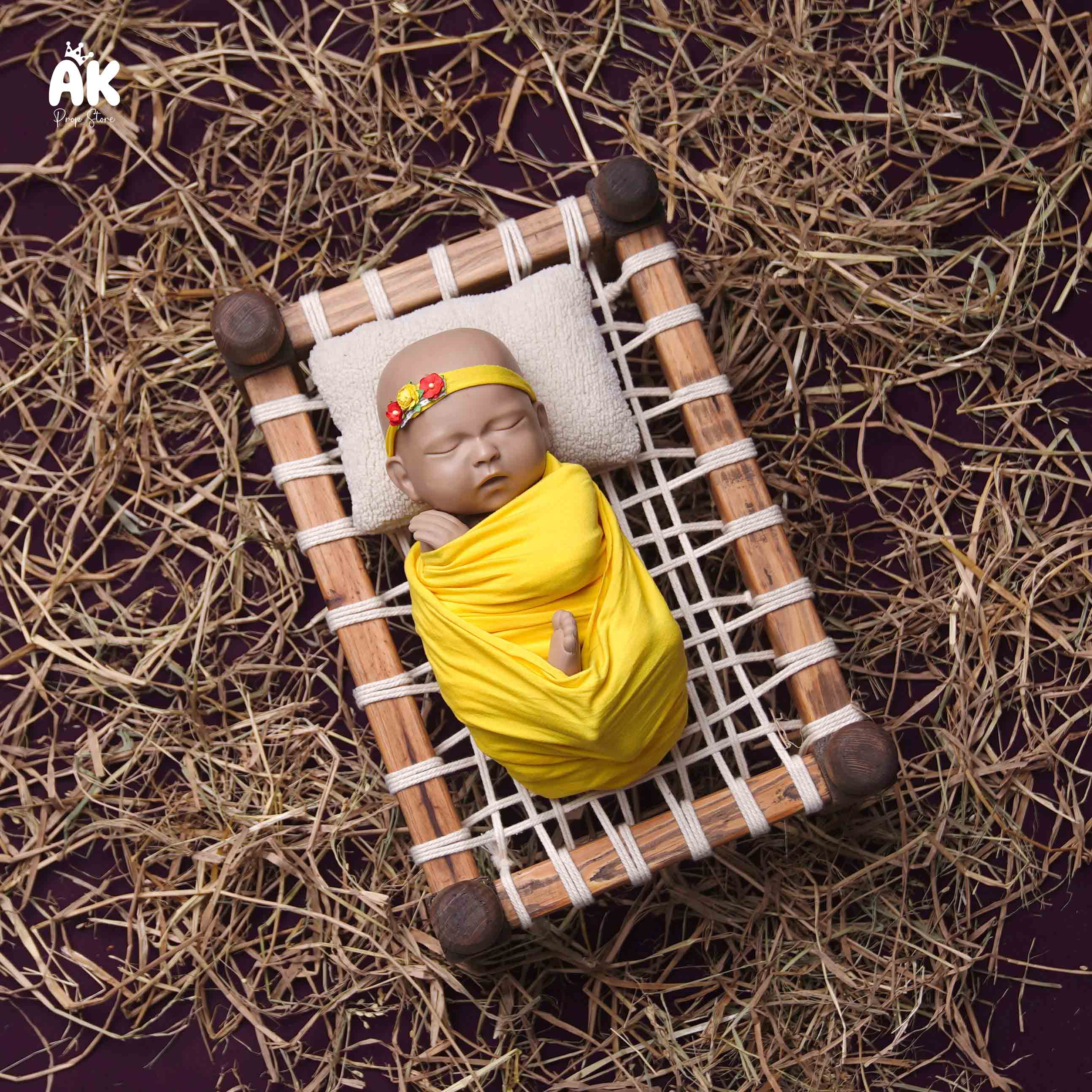 Village Dream Theme - Newborn