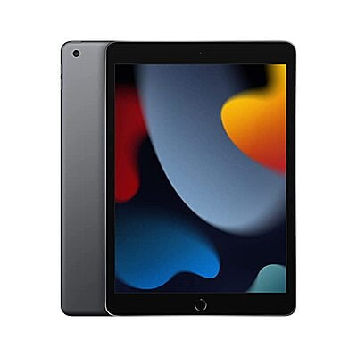 Apple 10.2-inch (25.91 cm) iPad with A13 Bionic chip (Wi-Fi + Cellular, 256GB) - Space Grey (9th Generation)