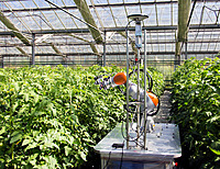 Greenhouse / Polyhouse Pest Control Service