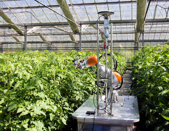 Greenhouse / Polyhouse Pest Control Service