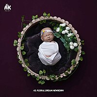 Studio Package (50 Themes)