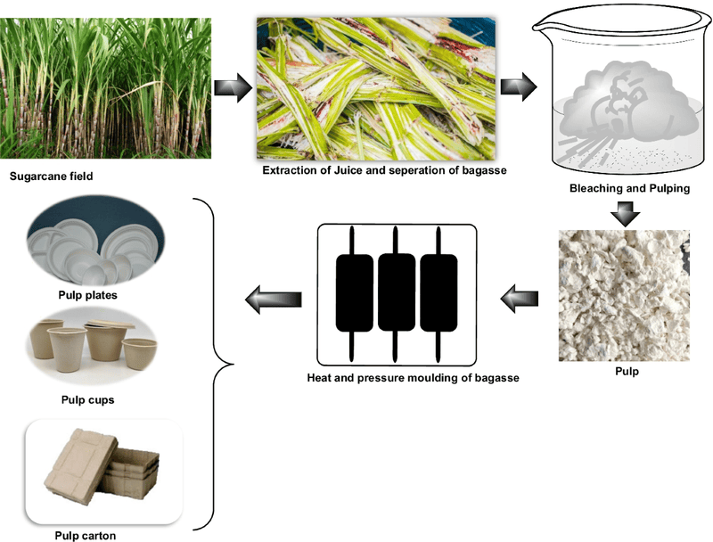 Agri By-Product Upcycling (Husk, Bran, Bagasse)