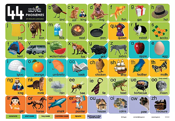 44 Phoneme Sounds Poster