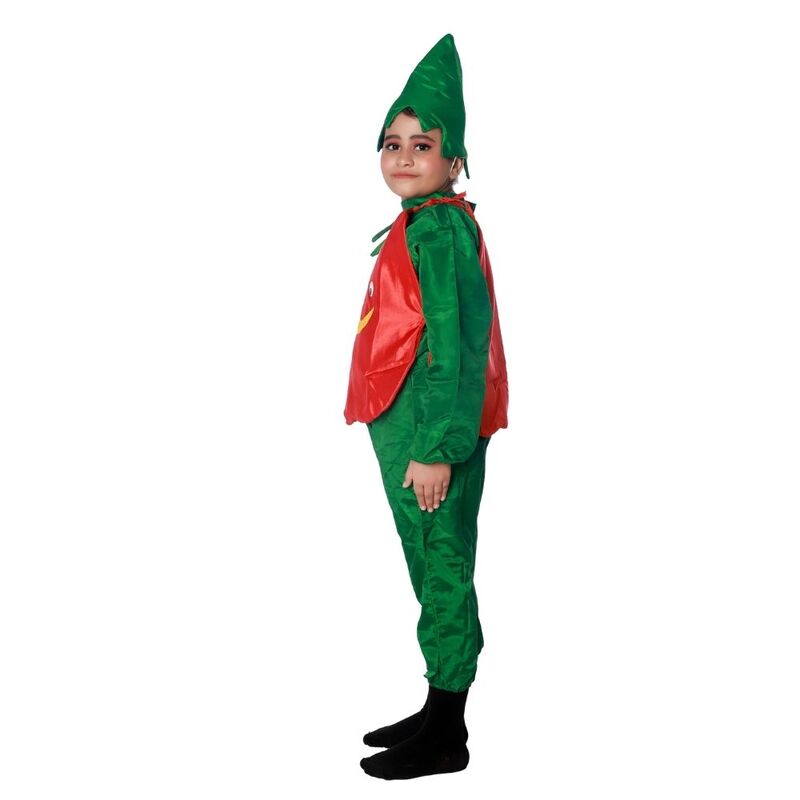 Tomato Fancy Dress Costume