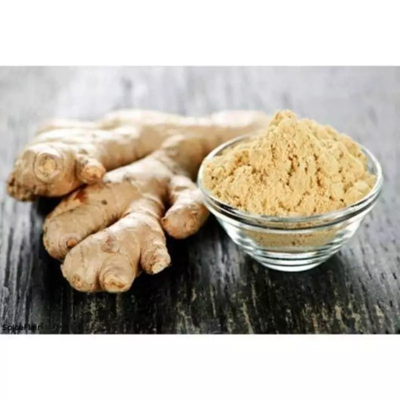 Shunti(Ginger) (P)