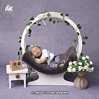 Studio Package (50 Themes)