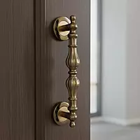 (4507) Palam Door Pull Handle Zinc 1006- 8" (BG)