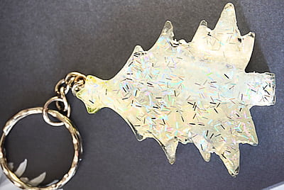 CHRISTMAS SPECIAL (XAS0001) CHRISTMAS SPECIAL (XAS0001)