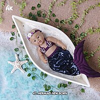 Studio Package (50 Themes)