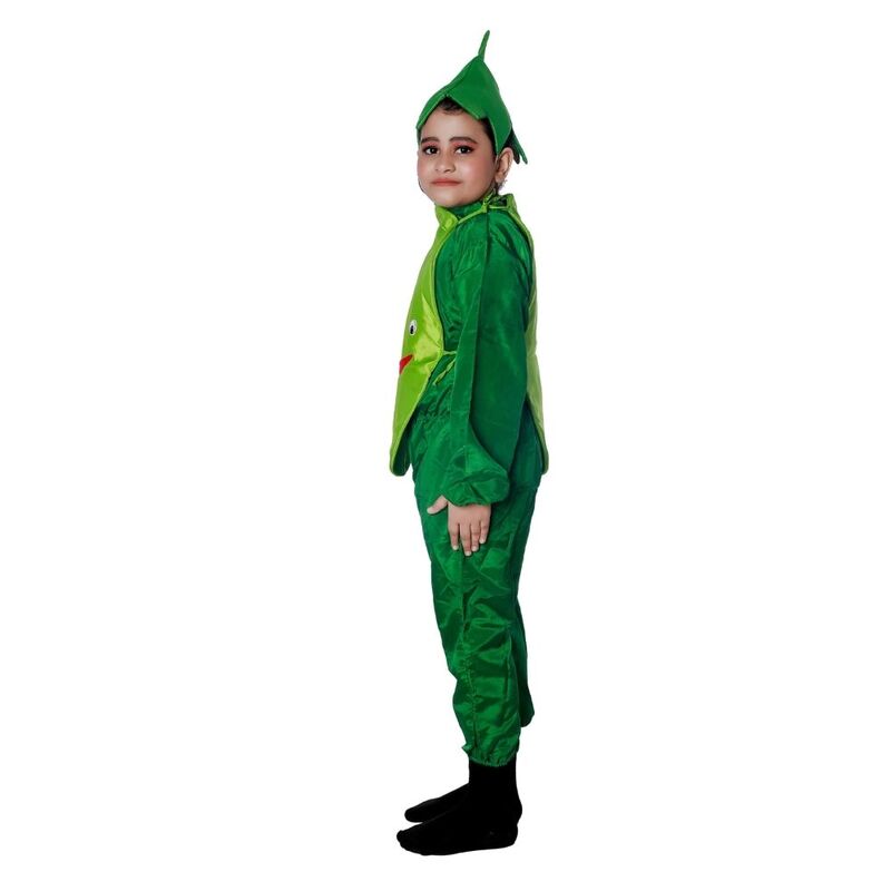 Bottle Gourd Fancy Dress Costume Bottle Gourd Fancy Dress Costume