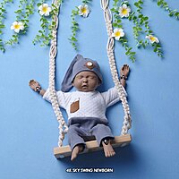 Studio Package (50 Themes)