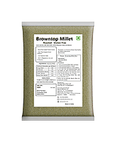 Browntop Millet | Unpolished and Roasted