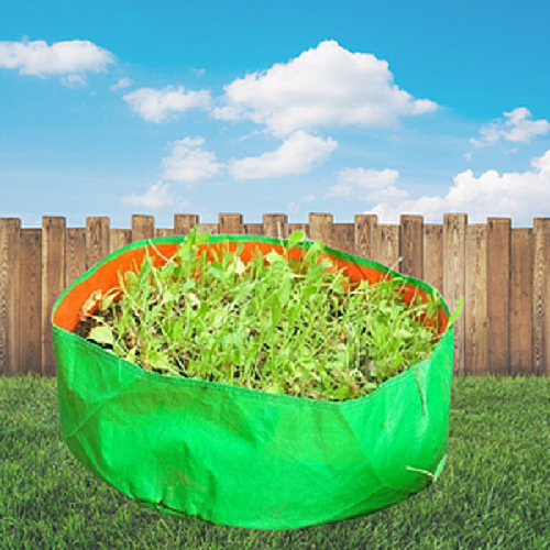 Spinach Grow Bag 24x9 Inch
