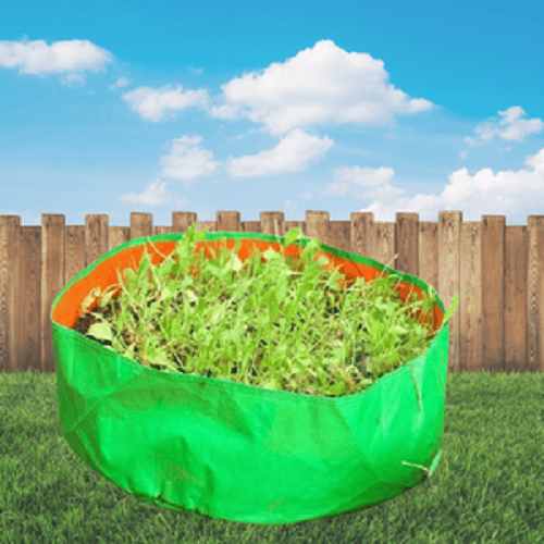 Spinach Grow Bag 24x9 Inch