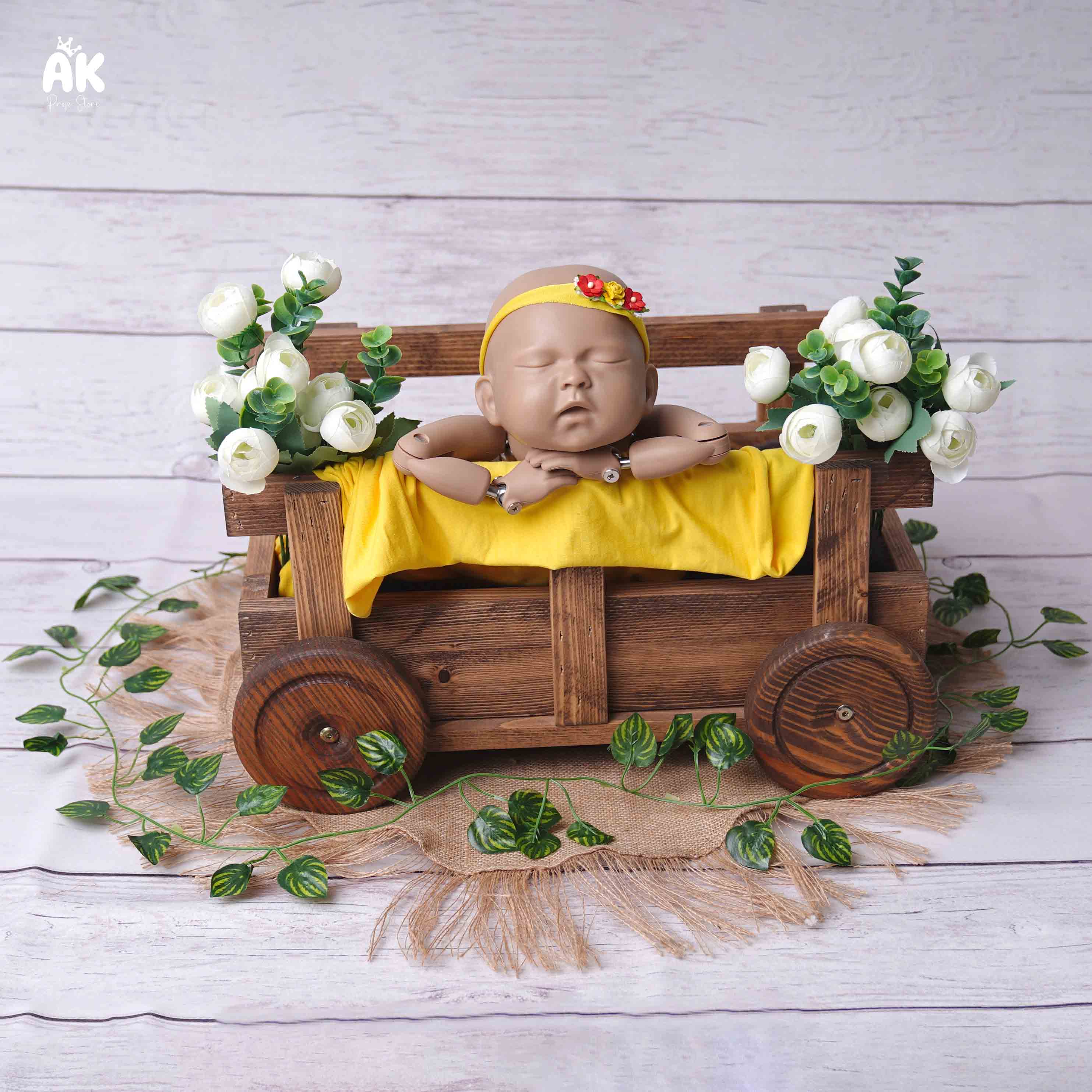Pullcart Baby Theme - New Born