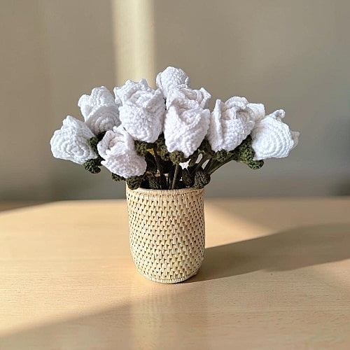 Rose Large Flower White Rose Large Flower White