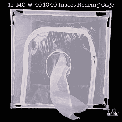 4F-MC-W-404040 Insect Rearing Cage
