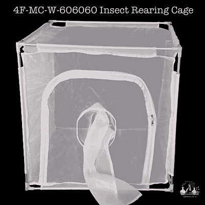 4F-MC-W-606060 Insect Rearing Cage