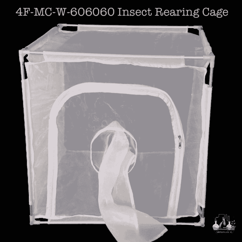 4F-MC-W-606060 Insect Rearing Cage