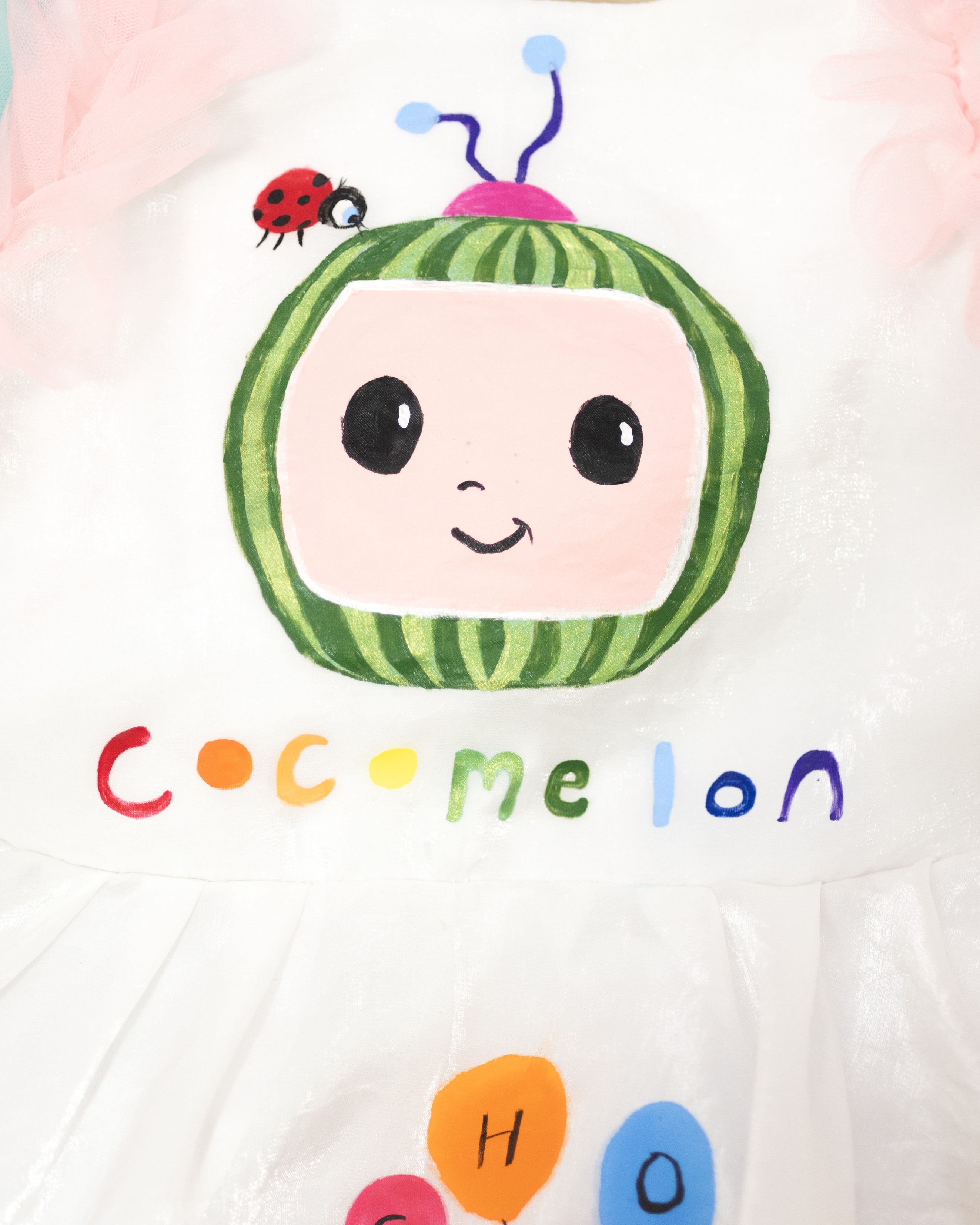 Cocomelon Birthday Dress
