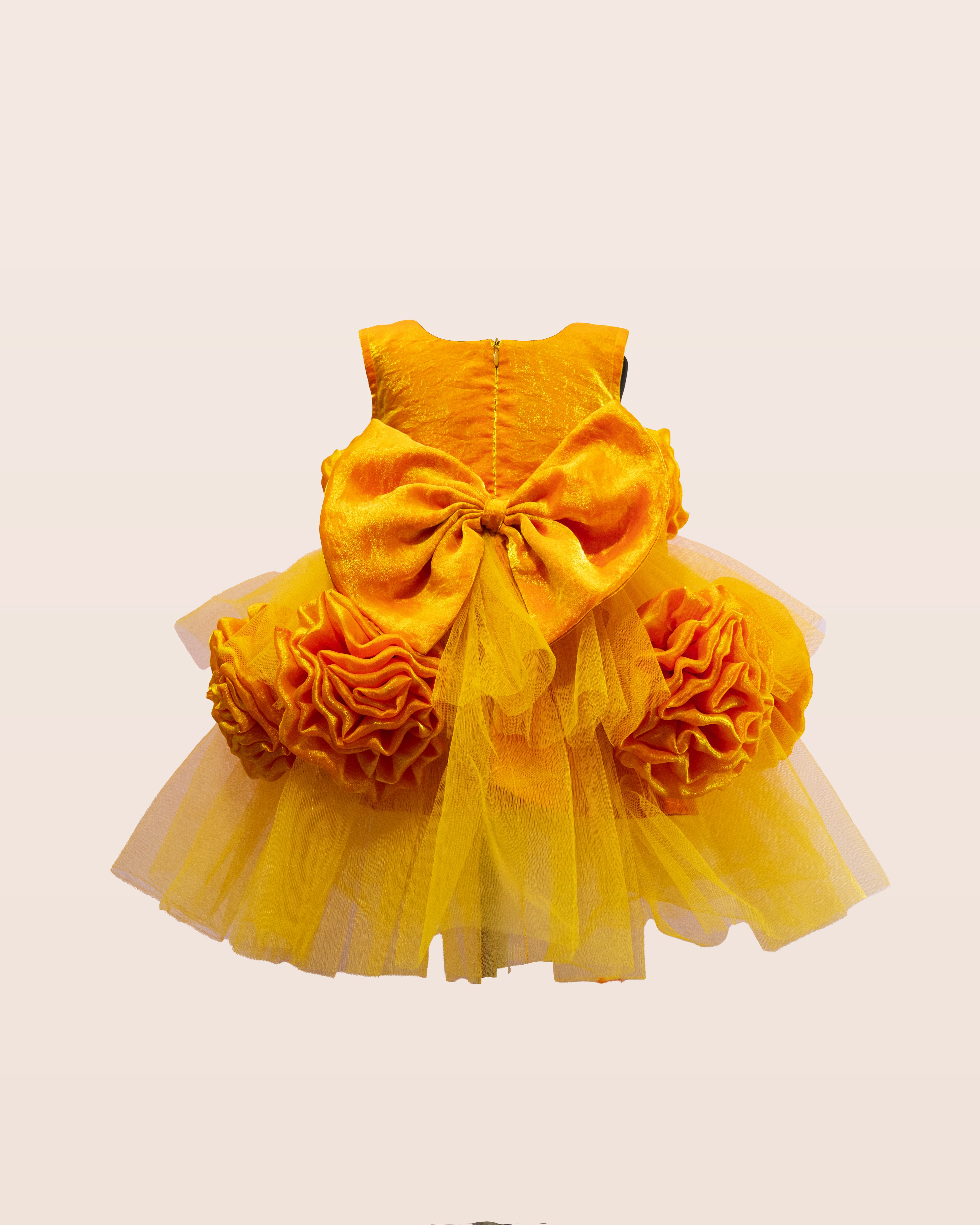 Golden Rose Princess Dress