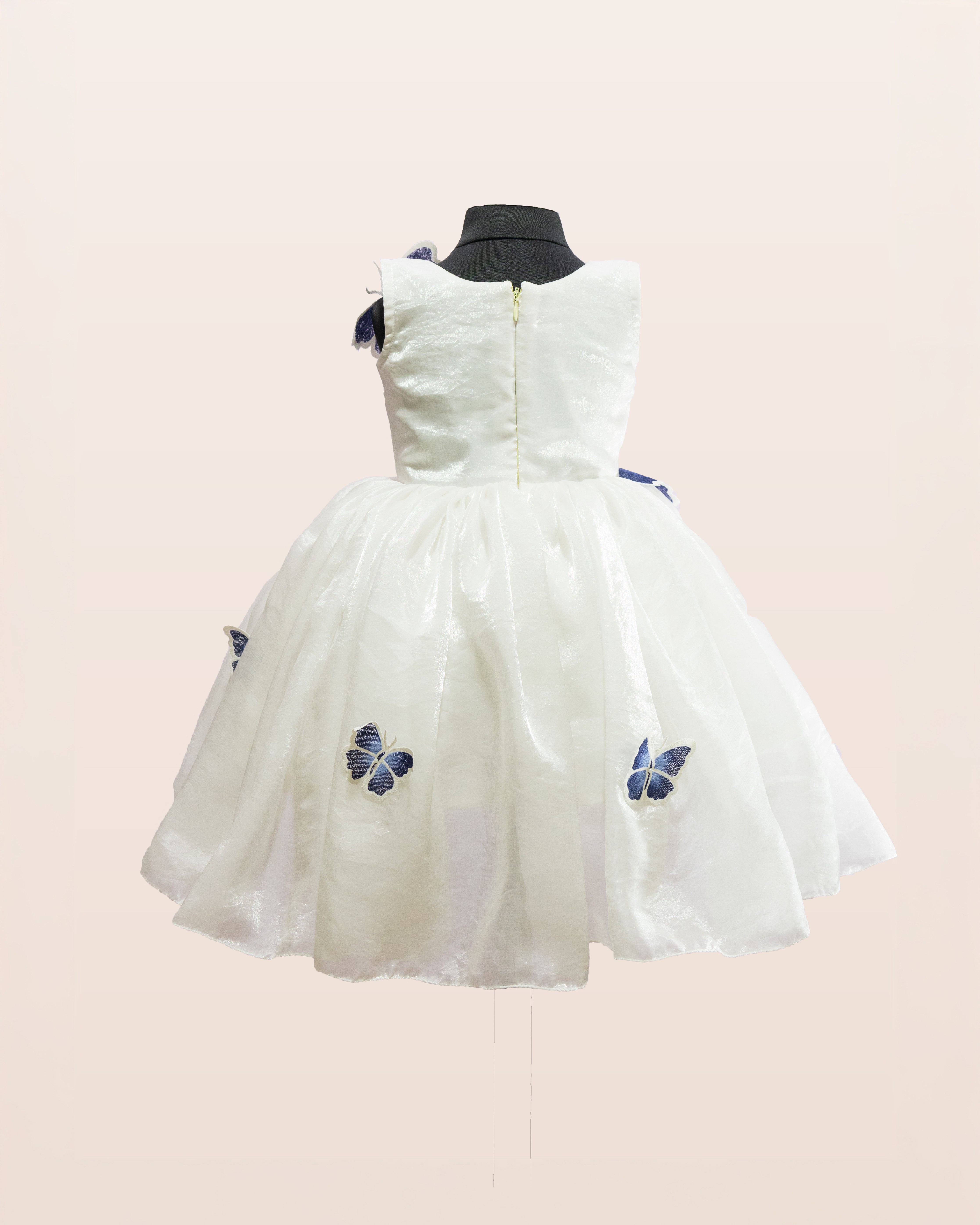 Blue Butterfly Dream Dress
