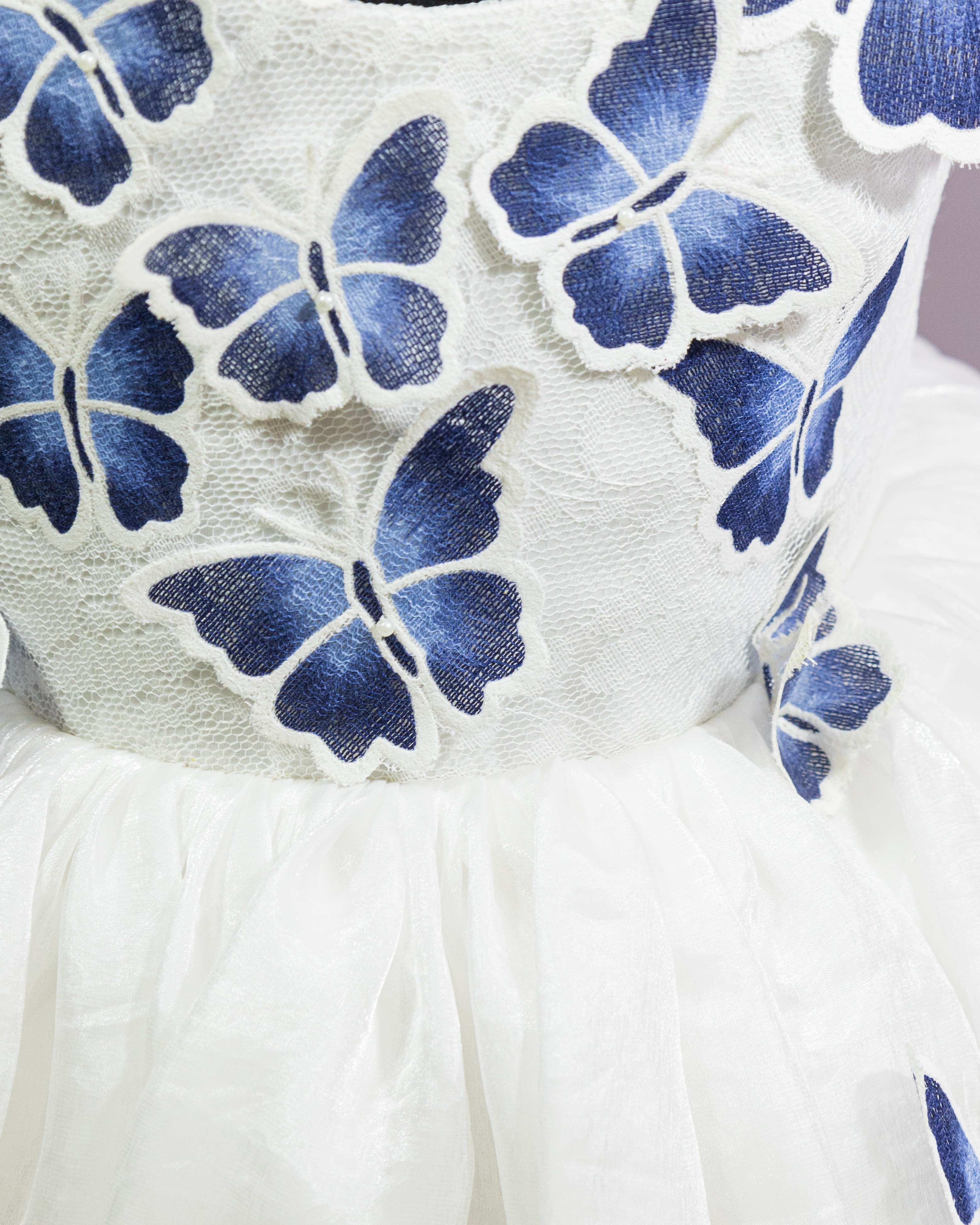 Blue Butterfly Dream Dress
