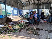 Sorting & Grading Area Sanitation