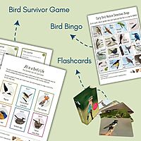 Nature Education Kit (English) Nature Education Kit (English)