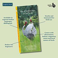 Pan-India Pocket Guides Kit Pan-India Pocket Guides Kit