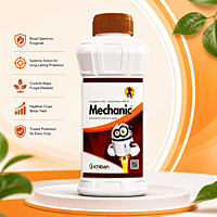 Ichiban MECHANIC® Fungicide (Azoxystrobin + Chlorothalonil) | Vetrivel Agro Services