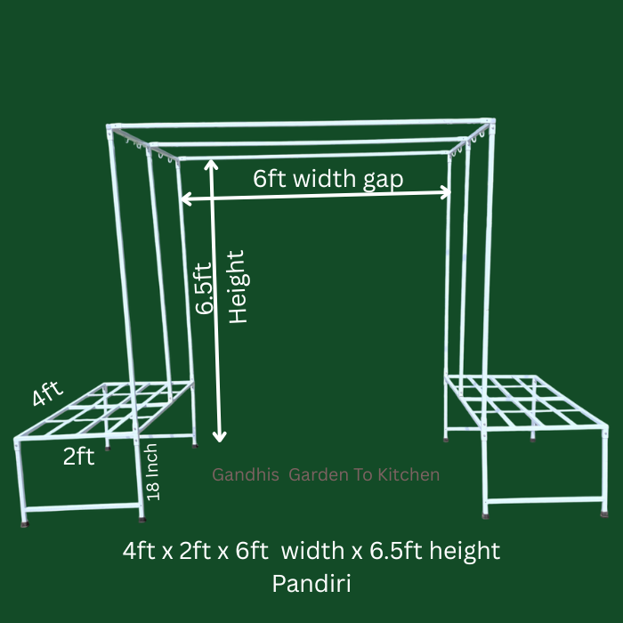 Detachable Pandiri creeper trellis with 4 × 2 ft stands, 6 ft spacing and 6.5 ft height