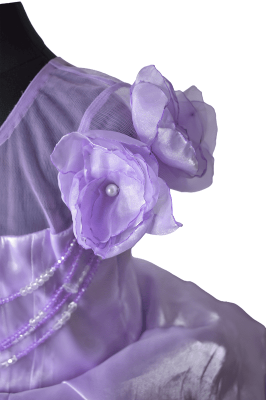 Rapunzel Theme Princess Dress