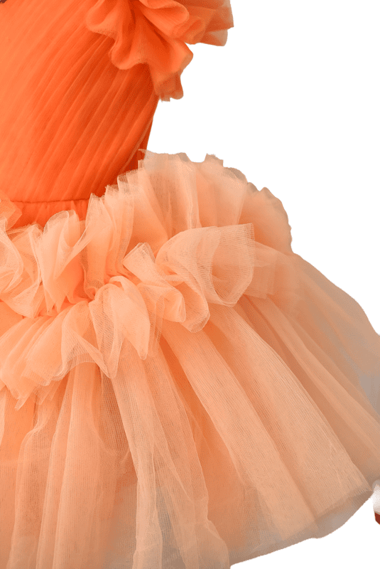 Apricot Flame Tulle Dress with Blush Accents