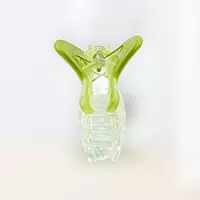 Chic Starfish Clear & Lime Green Hair Claw Clip - Medium Size