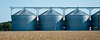 Grain & Pulse Storage Management Service