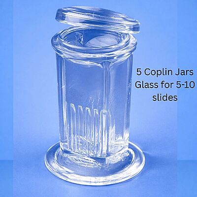 5 Coplin Jars Glass for 5-10 slides